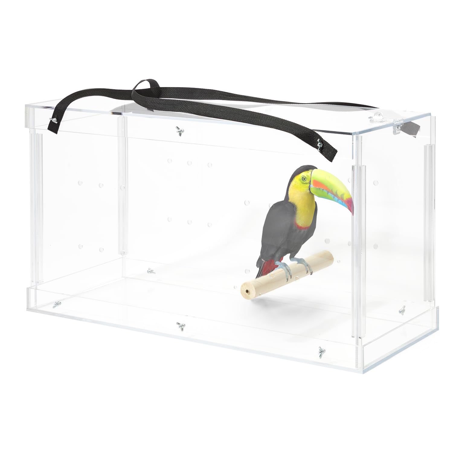 Macaw Acrylic Carrier - Large Crystal Clear Travel Bird Cage for Parrots & Exotic Birds | Perfect for Vet Visits, Air Travel & Outdoor Adventures