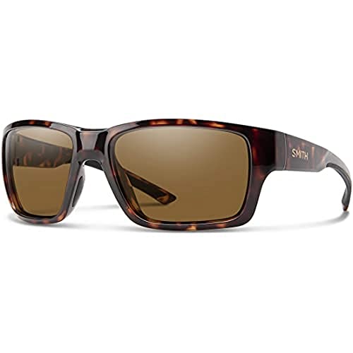 Tortoise / Brown