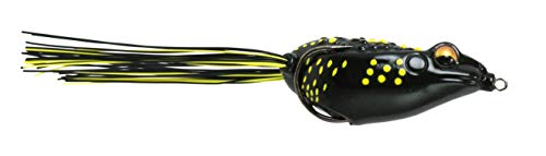 Black Frog