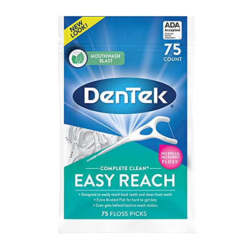 DenTek Complete Clean Easy Reach Floss Picks - 75 Count | No Break & No Shred Dental Floss for Strong Teeth | Perfect for Travel, Office & On-the-Go Oral Care