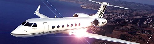 GLEIM Online Ground School for Flight & Ground Instructor Certification - FAA Approved Pilot Training Course for Private & Commercial License Prep