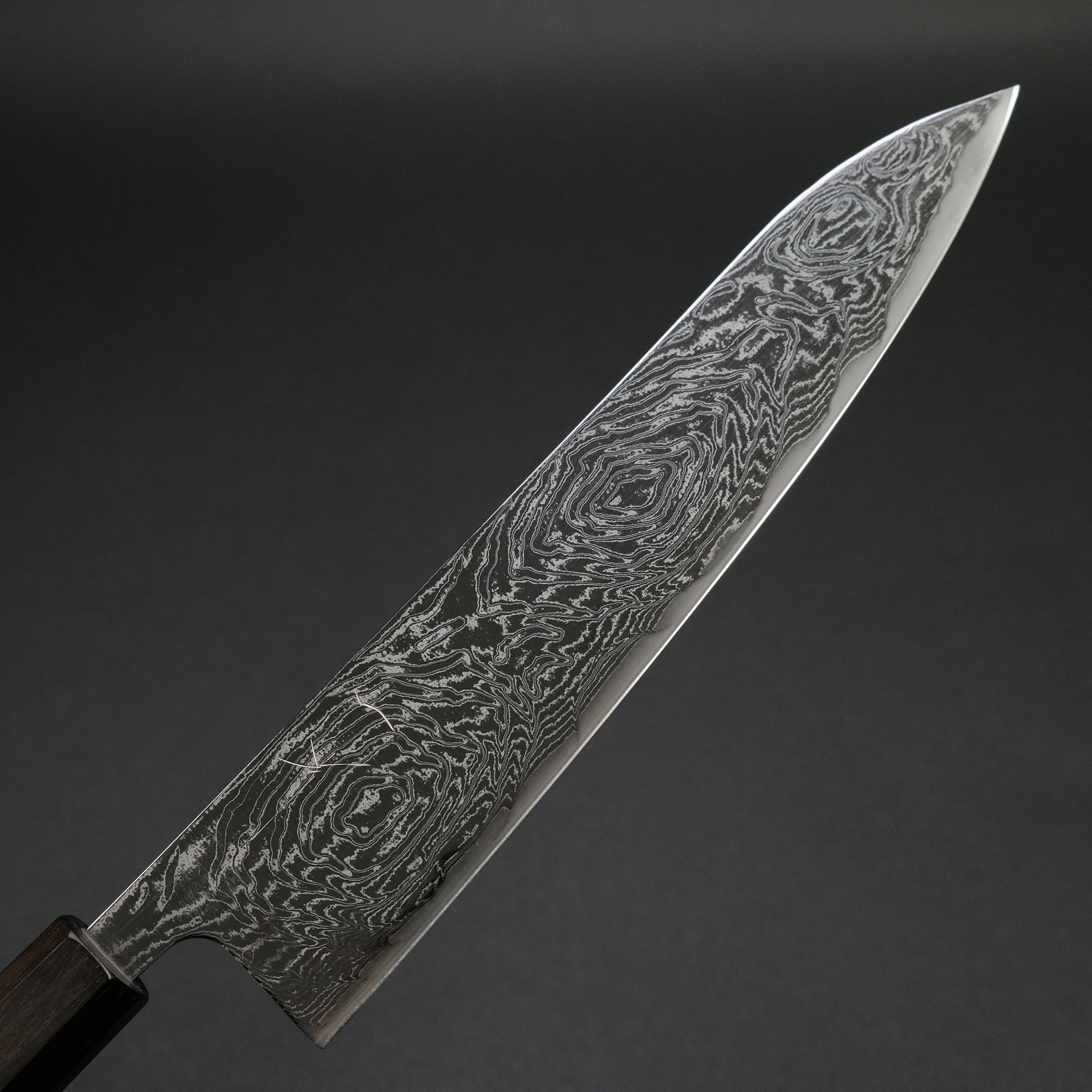Hitohira Futana Nickel Damascus Gyuto 240mm Japanese Chef Knife with Tagayasan Wood Handle - Professional Kitchen Tool for Slicing, Dicing & Meat Cutting