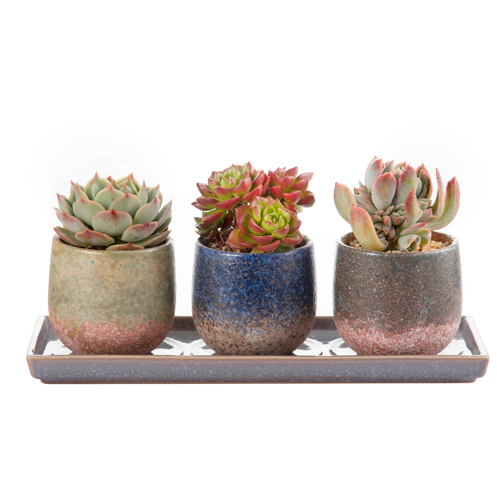 3 Inch Ceramic Succulent Planter Pot with Drain Hole & Saucer - Small Flower Pots for Indoor/Outdoor Plants, Cactus, Herbs | Perfect for Home Decor, Office Desk, Garden & Gift Ideas