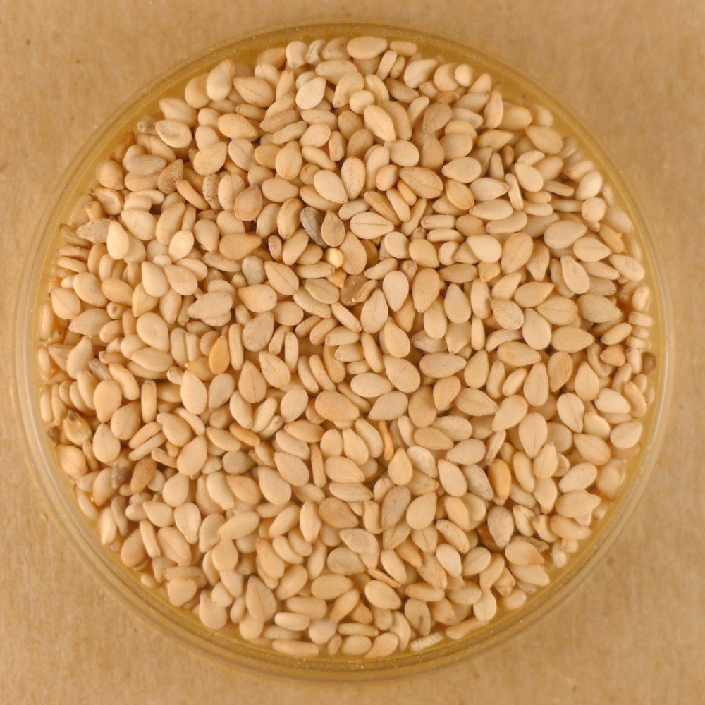 Organic Toasted Sesame Seeds - 10 lbs Bulk Bag | Premium Quality for Baking, Cooking & Salad Topping | Non-GMO, Gluten-Free | Perfect for Asian Cuisine, Tahini & Homemade Granola