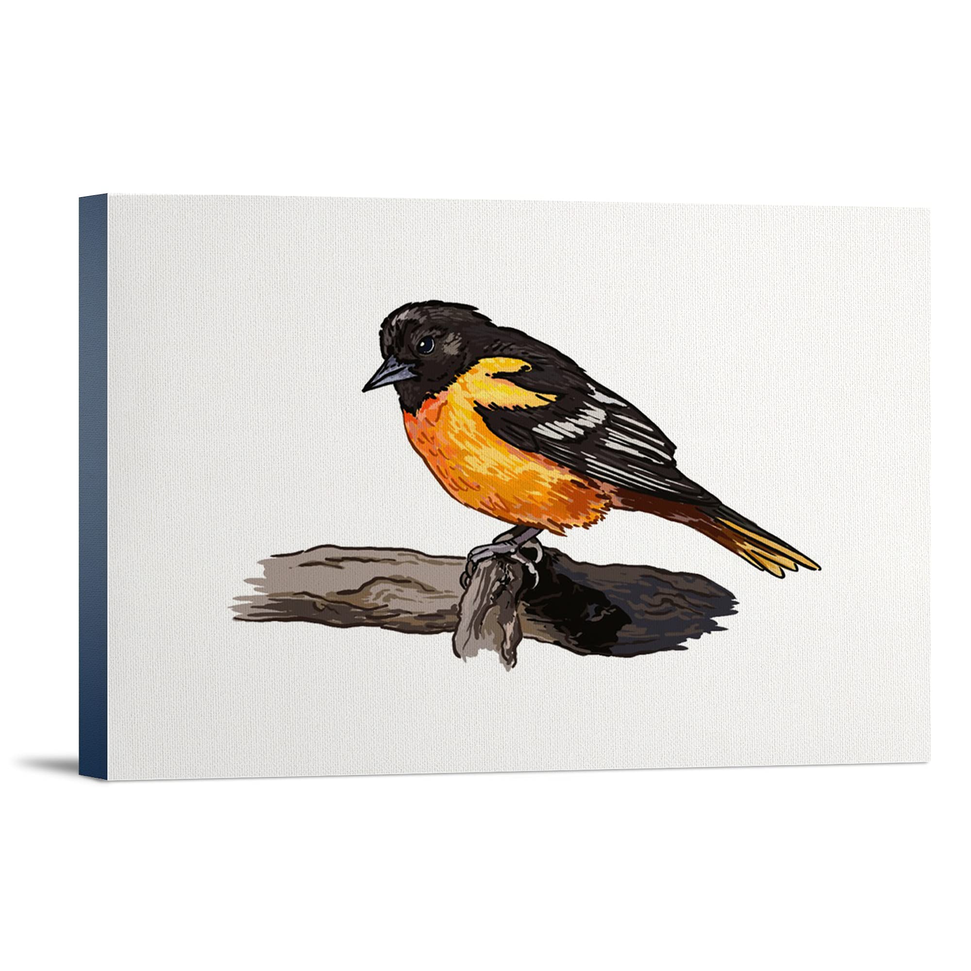Lantern Press Oriole Bird Wall Art - 12x18 Wrapped Canvas Print, Nature Home Decor for Living Room, Bedroom & Office
