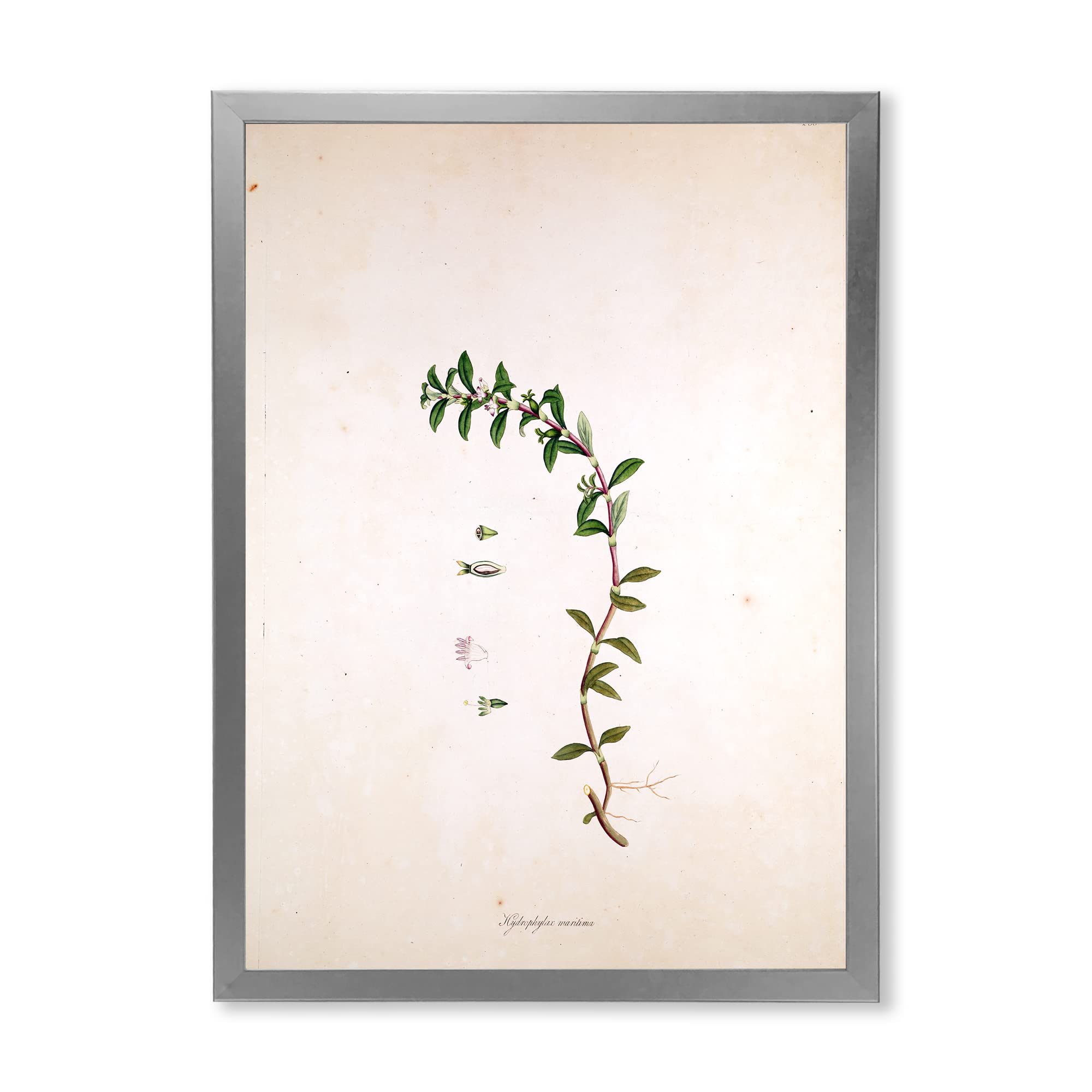 Vintage London Plants II Farmhouse Framed Wall Art - Botanical Home Decor for Living Room, Bedroom & Office | Ready to Hang Canvas Print