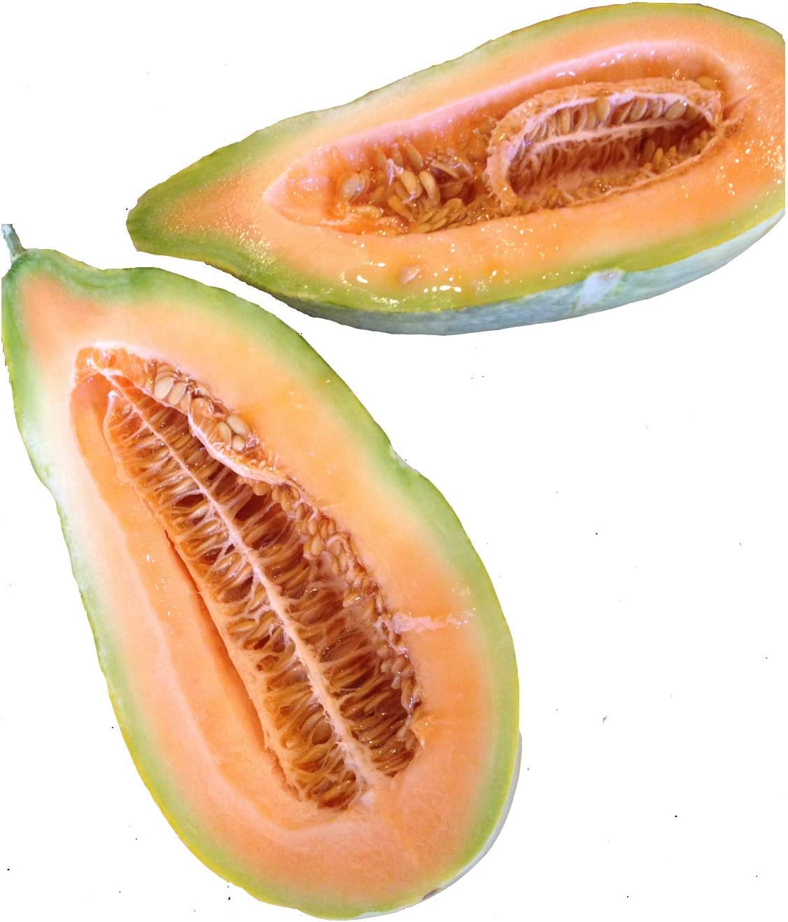 Exotic Banana Melon Cucumber Seeds - 120+ Heirloom Non-GMO Seeds (Cucumis metuliferus) by Isla's Garden Seeds - Perfect for Home Gardening, Organic Farming & Unique Fruit Cultivation