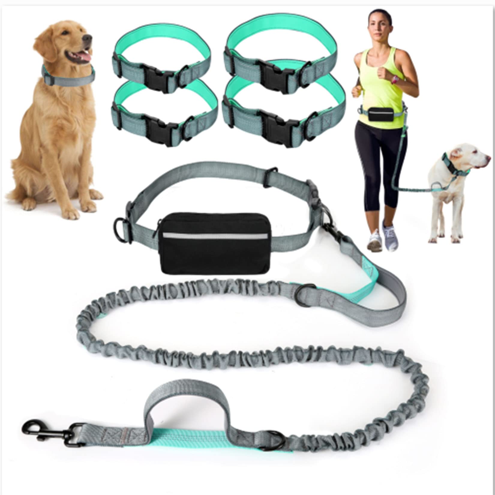 Hands-Free Adjustable Dog Leash with Zipper Pocket & Quick Release Collar - Perfect for Small, Medium & Large Dogs (9