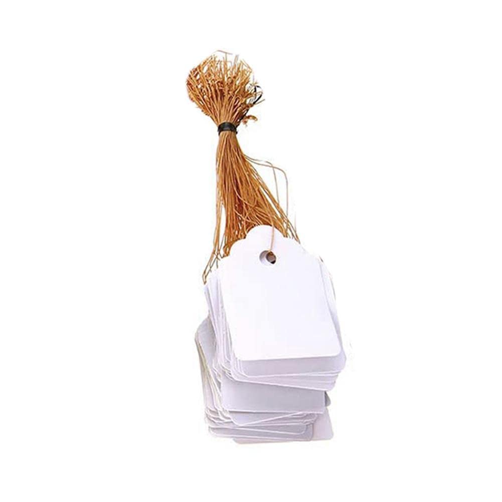 100 PCS Waterproof Reusable Plant Tags with String - Durable Gardening Labels for Seedlings, Herbs & Outdoor Plants - Perfect for Garden Markers, Plant Identification & Organizing Your Backyard