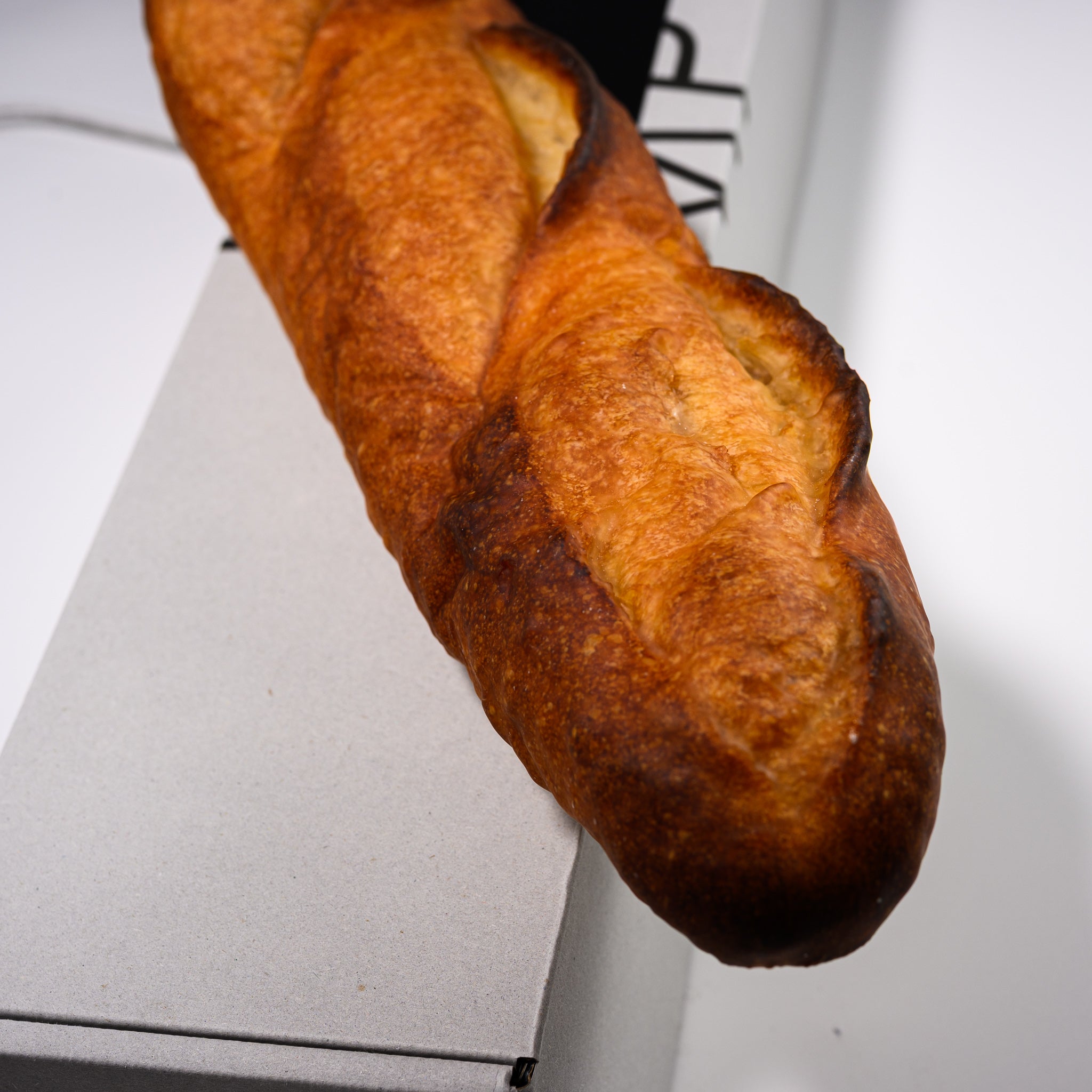 PAMPSHADE Real Bread Lamp - Batard Art Light by Yukiko Morita | Unique Home Decor for Living Room, Bedroom & Cafe Aesthetic