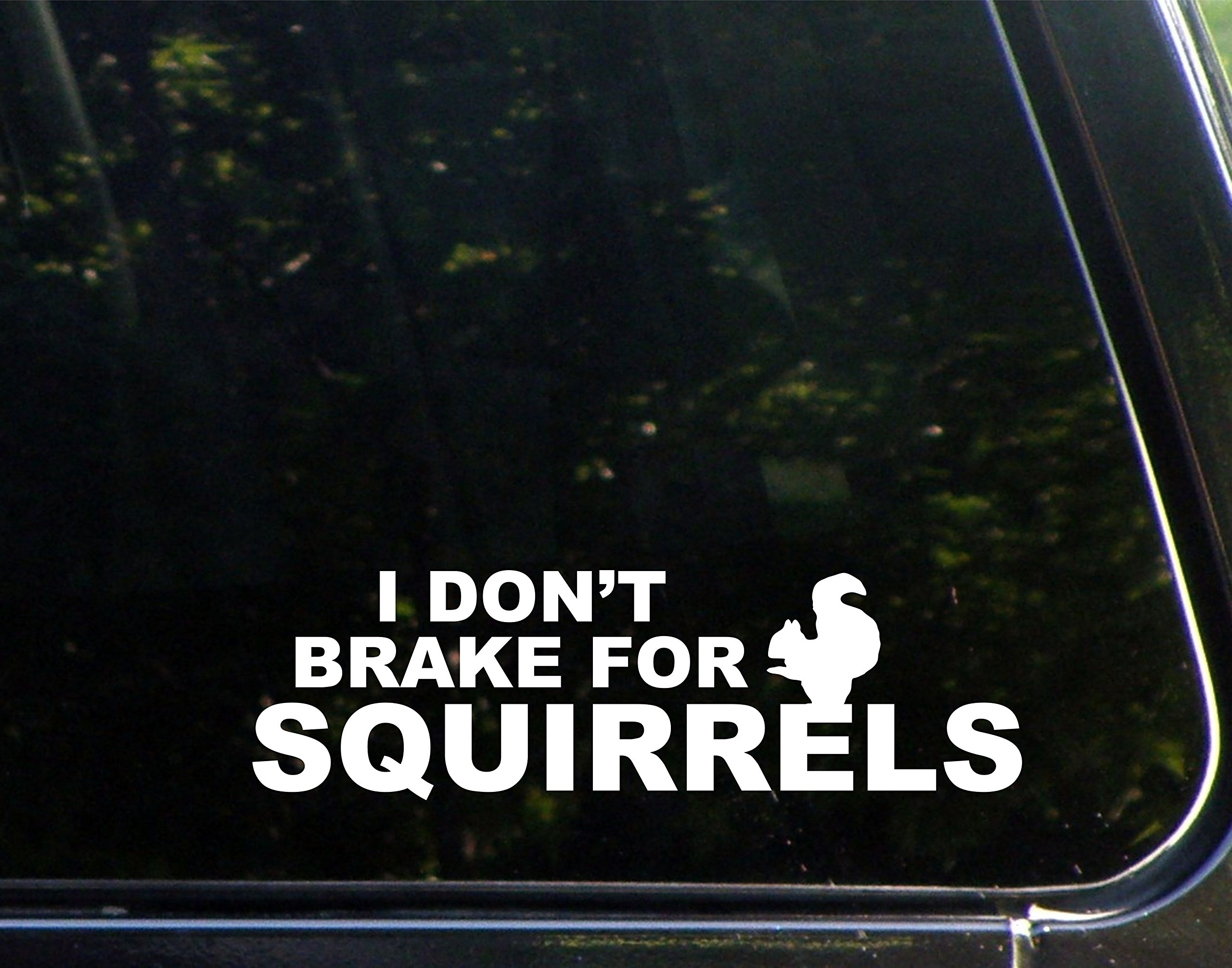 I Don't Brake for Squirrels