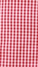 Stylish Red Gingham Jeane Top for Women | Trendy Summer Blouse | Perfect for Casual Outings, Beach Vacations & Date Nights