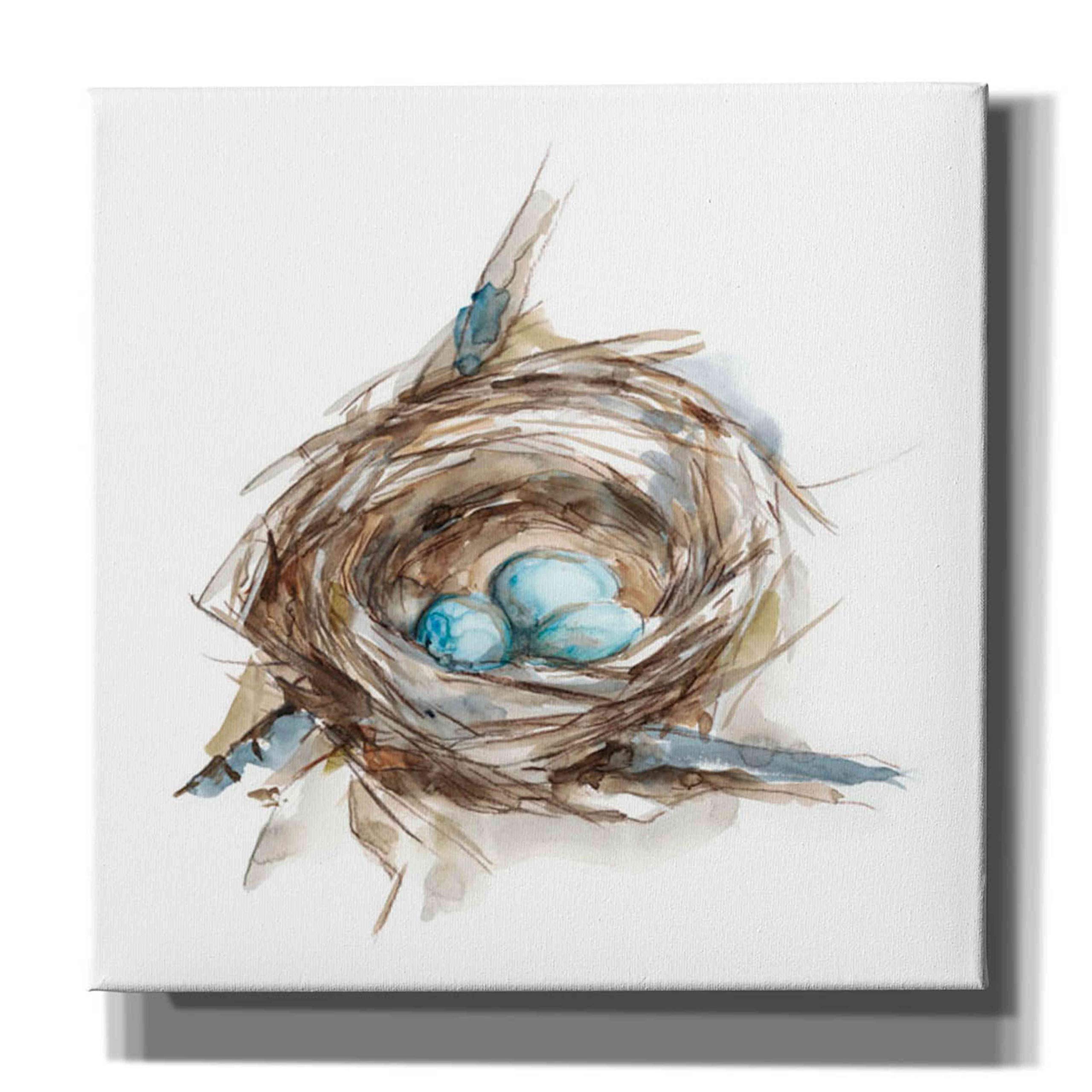 Ethan Harper 'Bird Nest Study II' Canvas Wall Art - 37x37 Inch Nature Inspired Painting for Living Room, Bedroom & Office Decor