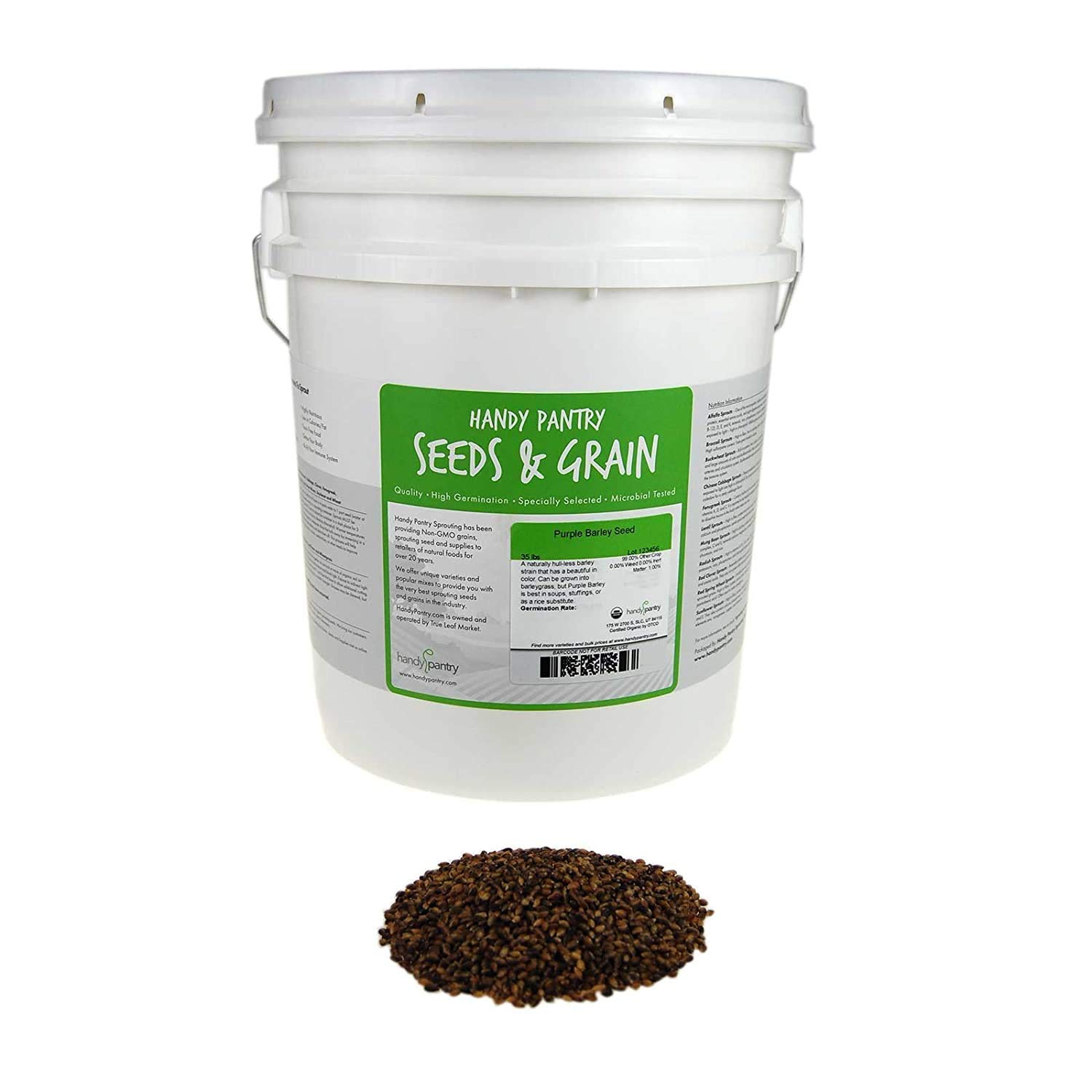 Organic Purple Barley Seeds (35 Lb Bucket) - Certified No Hull Black Barley for Barleygrass, Flour, Food Storage & Cooking - Perfect for Smoothies, Soups, Baking & Emergency Preparedness - Handy Pantry Brand