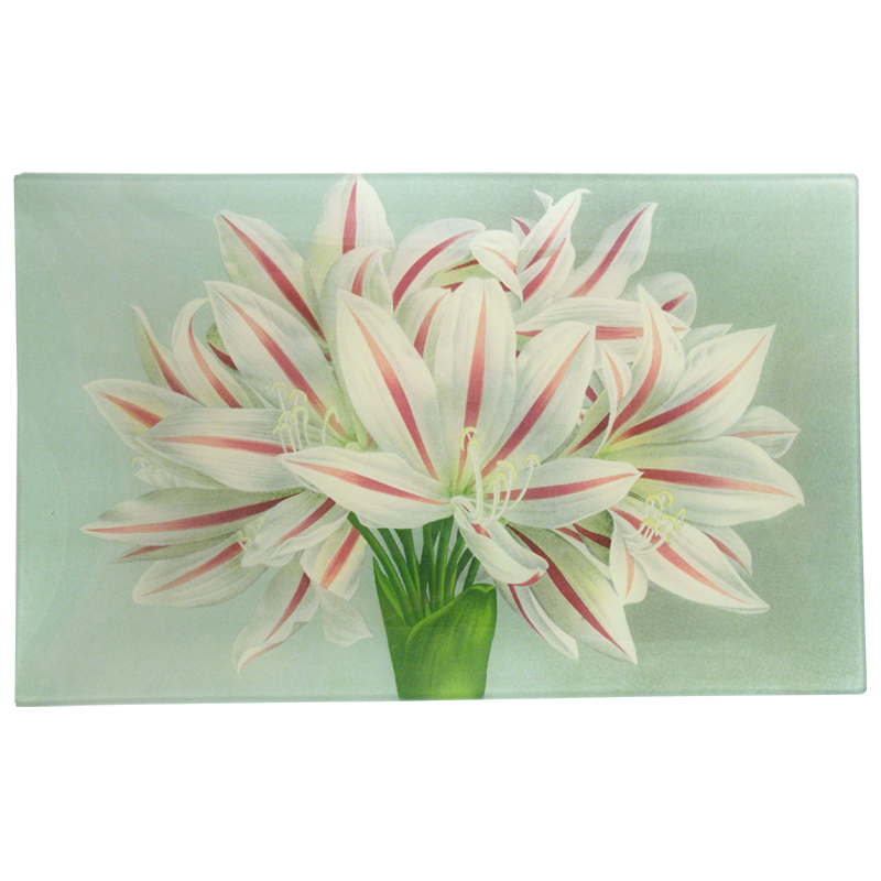 Brunswigia Massaiana Bulb - Exotic Flowering Plant for Home & Garden Decor - Perfect for Landscaping, Wedding Bouquets, and Floral Arrangements