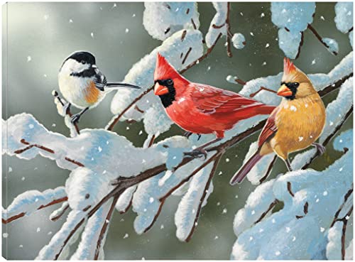 Heavy Snowfall