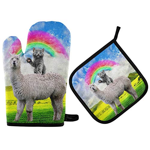 Grassland Siamese Cat Ride Llama
