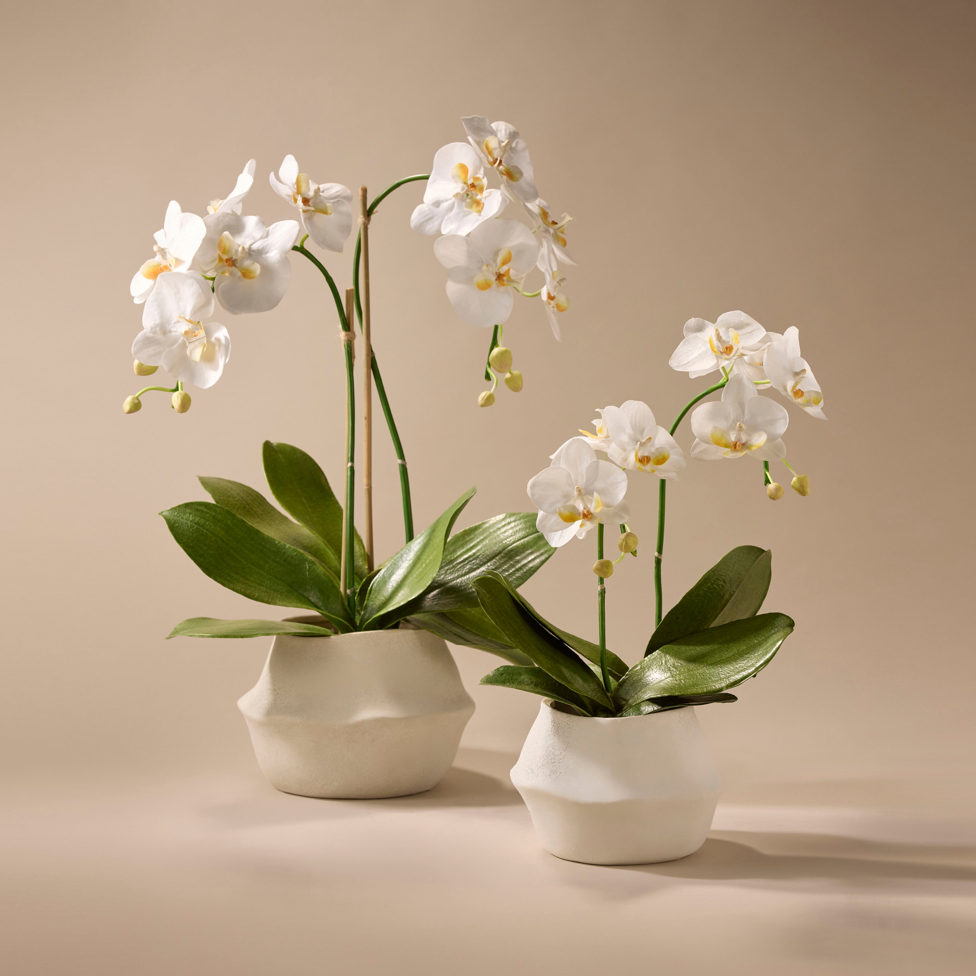 Premium Faux Phalaenopsis Orchid Plant in White - 24 Inch Tall Artificial Silk Orchid with Maliah Pot - Perfect for Home Decor, Office, Wedding Centerpieces & Gift Giving