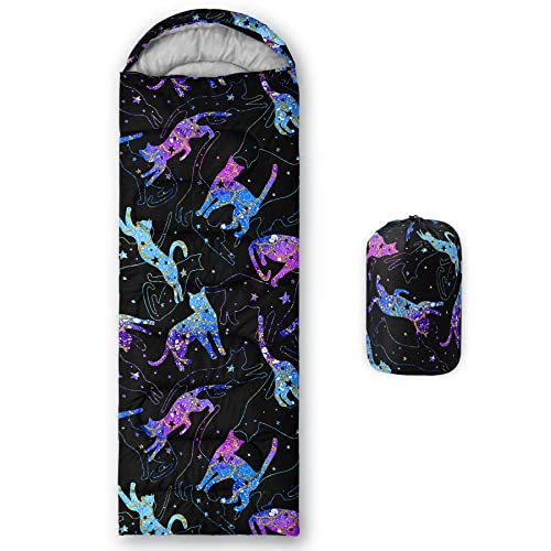 Galaxy Cats 4