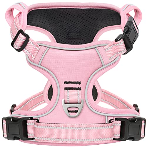 Normal-Pale Pink
