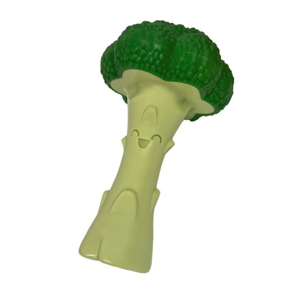 Nylabone Power Chew Broccoli Dog Toy - Durable Chew Toy for Aggressive Chewers - Perfect for Teething Puppies & Strong Dogs - Great for Indoor & Outdoor Play