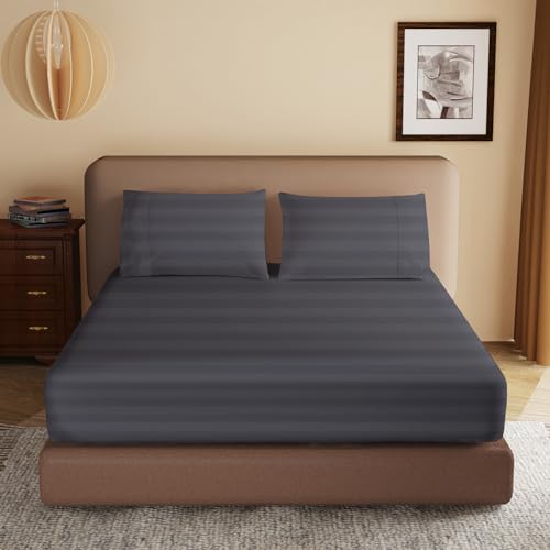 Dark Grey-stripe