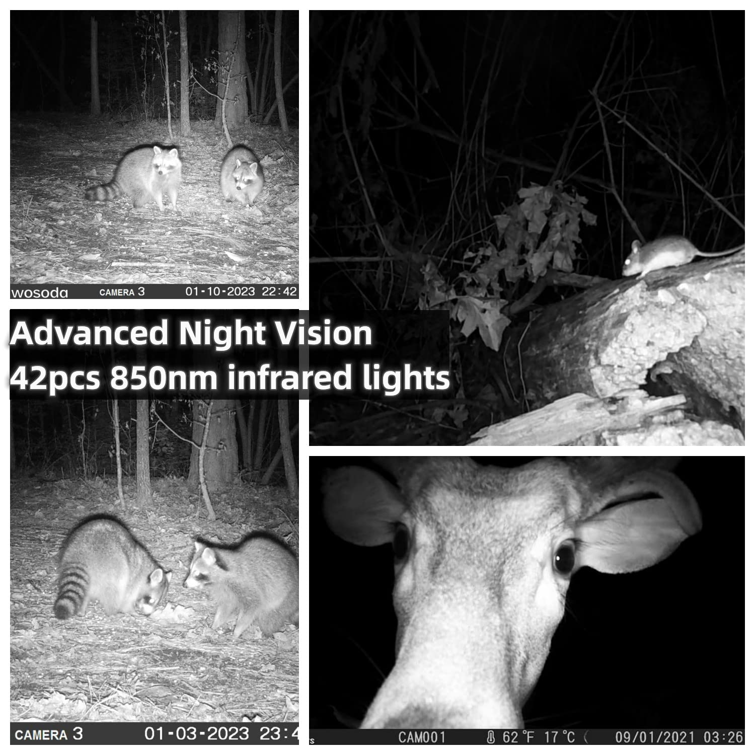 2 Pack 30MP 1080P HD Waterproof Trail Cameras - Motion Activated Hunting Camera with Fast Trigger & Infrared Night Vision for Outdoor Wildlife Monitoring - Perfect for Deer Hunting, Security Surveillance, and Nature Observation