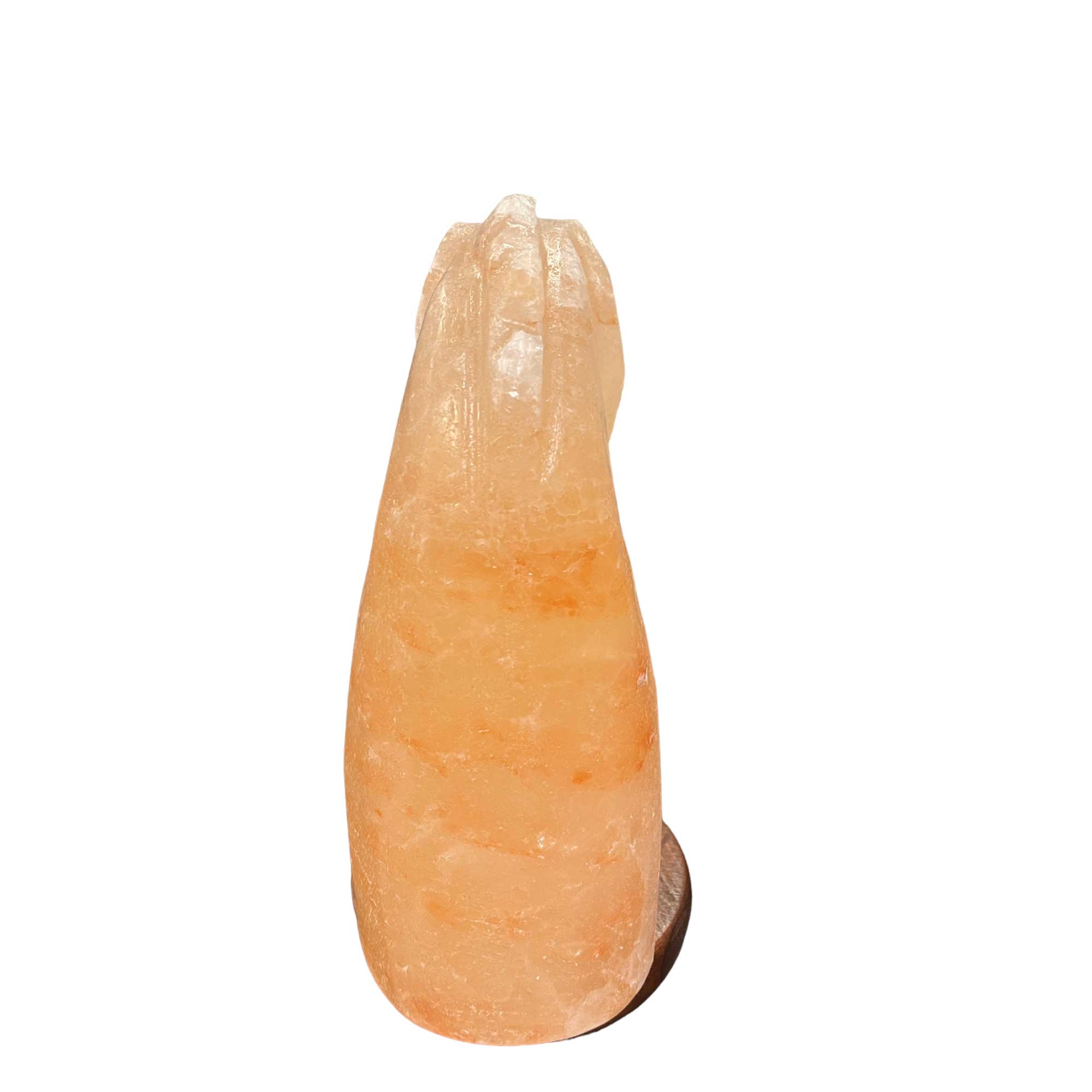 12V 12W Himalayan Pink Salt Lamp - Hand Carved Knight Rock Crystal Night Light with On/Off Switch for Bedroom, Yoga Room, Meditation Space & Home Decor