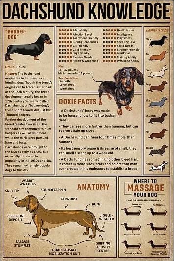 500-Piece Jigsaw Puzzle - Cute Dachshund Wiener Dog Design - Educational Wooden Puzzle for Adults & Kids - Brain Teaser Game, Family Activity, Gift Idea for Dog Lovers - Perfect for Home Decor, Classroom Learning & Stress Relief