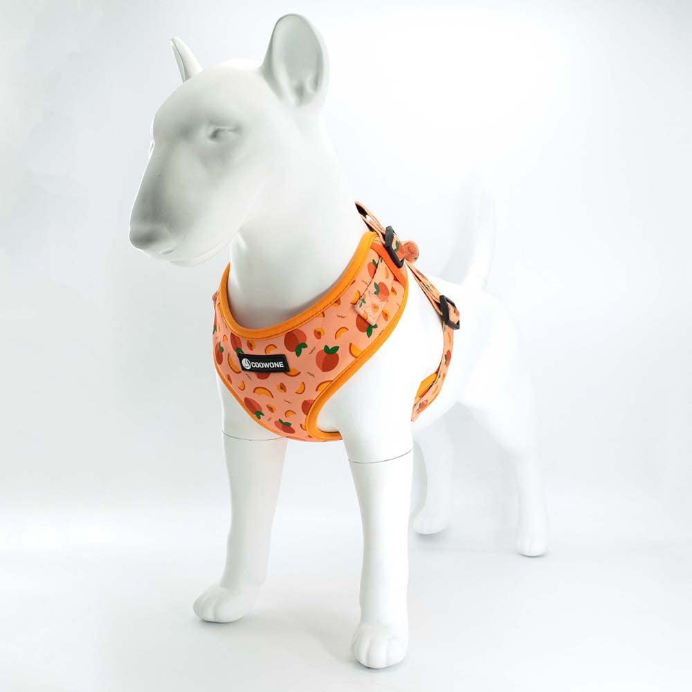 **Adjustable No-Pull Dog Harness and Leash Set for Small, Medium & Large Dogs - Comfortable Walking & Training Gear for Puppies & Pets - Perfect for Outdoor Adventures, Hiking & Daily Walks**