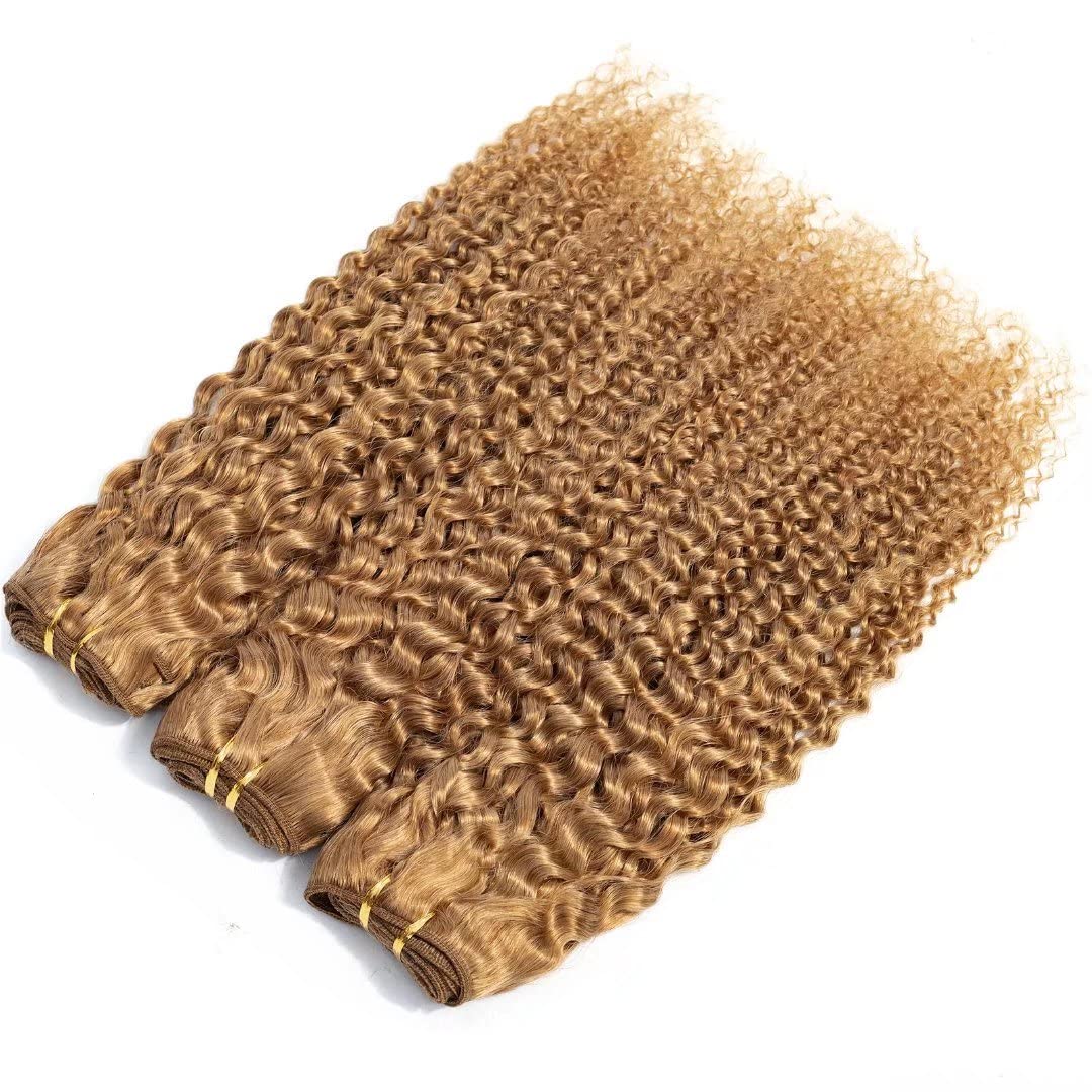 FEEL ME 18 20 22 Inch Brazilian Curly Human Hair Bundles - 27 Honey Blonde Unprocessed Virgin Hair Weave (3 Bundles) 8A Mink Kinky Curly Extensions for Natural Look & Styling | Perfect for Daily Wear, Parties & Special Occasions