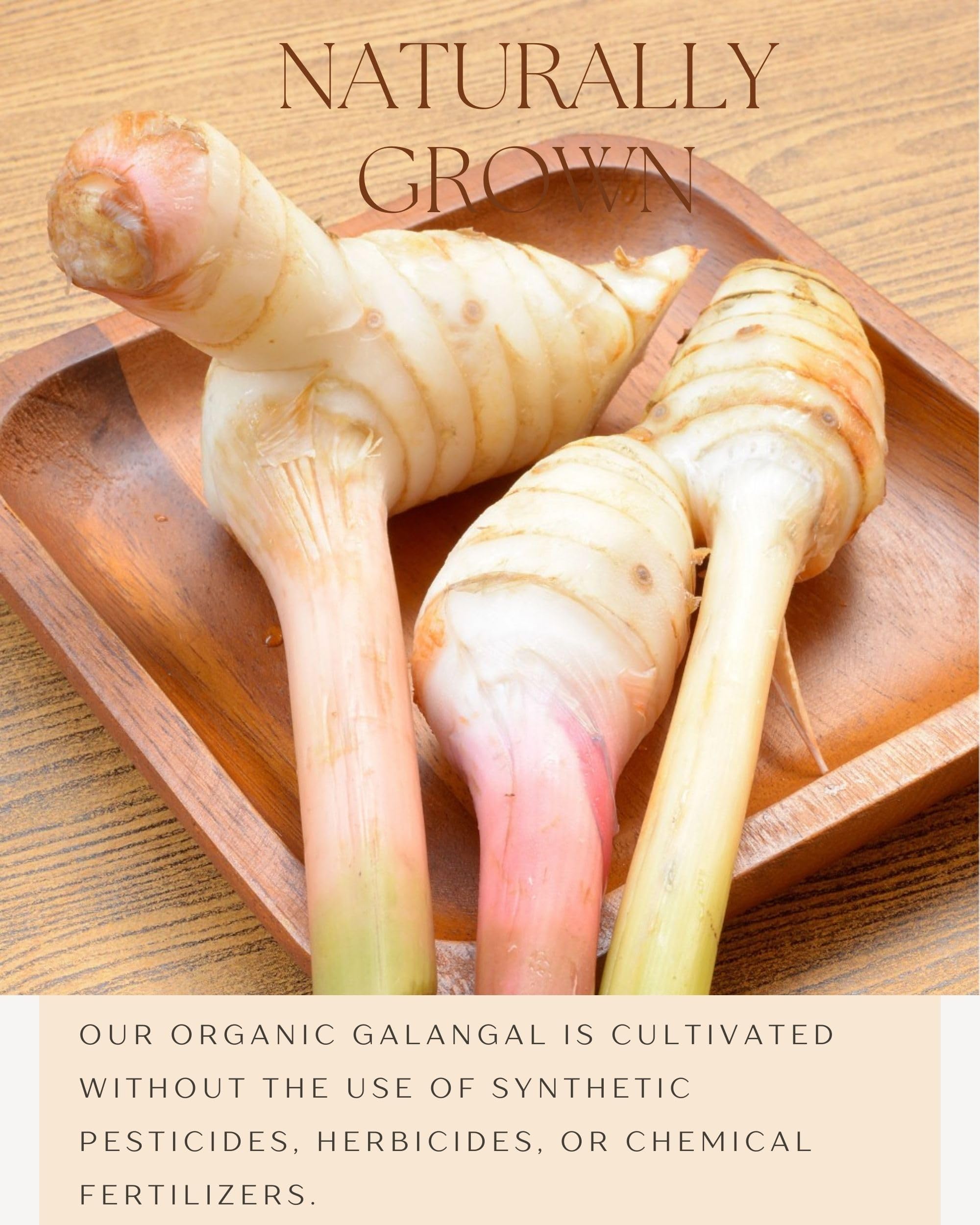 Organic Galangal Powder - Premium Galanga Spice Seasoning for Authentic Asian Cooking | Thai, Indonesian & Malaysian Cuisine | 16oz | Perfect for Curry, Soup & Stir Fry Dishes
