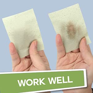 Sileni 100 Count Oil Blotting Sheets for Oily Skin - Green Tea Facial Blotting Papers (10cmx7cm) | Absorbs Excess Oil & Shine | Perfect for On-the-Go Makeup Touch Ups & Travel Skincare