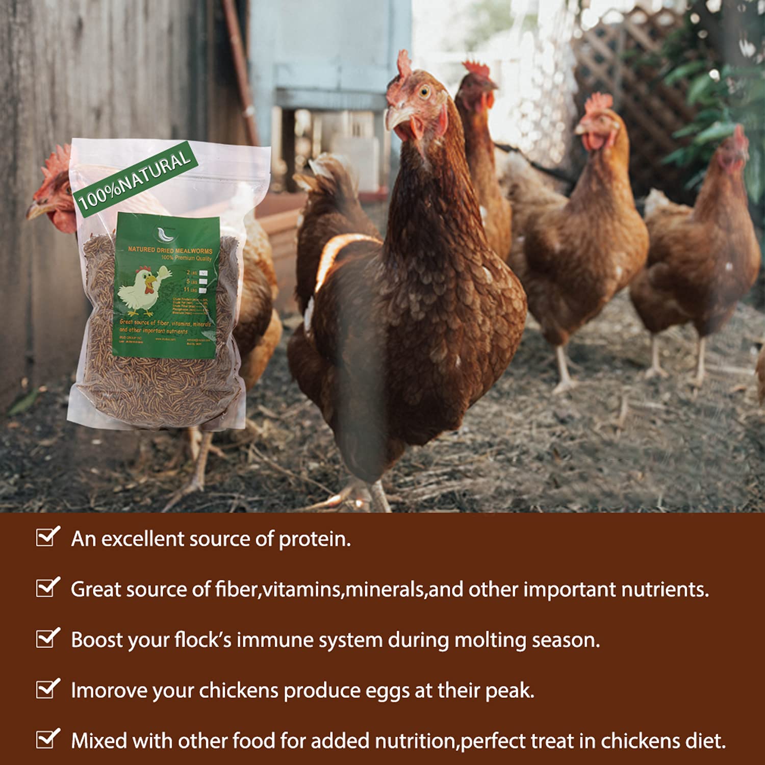Premium Non-GMO High-Protein Dried Mealworms (2LB) - All-Natural Chicken Feed, Duck Food & Wild Bird Treats | Ideal for Poultry, Reptiles, Fish & Amphibians | Perfect for Backyard Chickens, Bird Feeders & Pet Nutrition