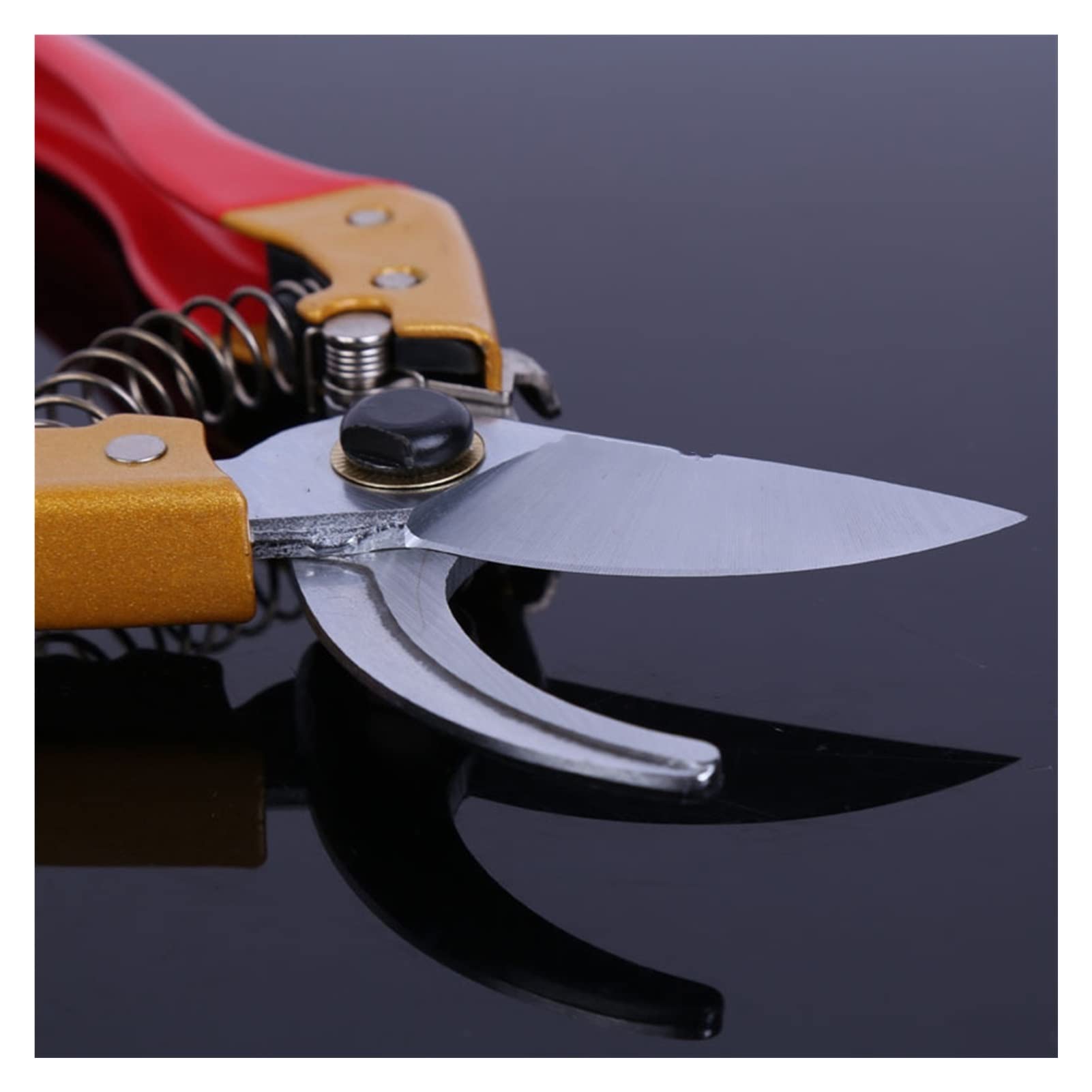 Premium SK5 Stainless Steel Garden Shears - Professional Pruning Shears, Tree Trimmers & Hand Pruners for Gardening, Landscaping & Outdoor Use