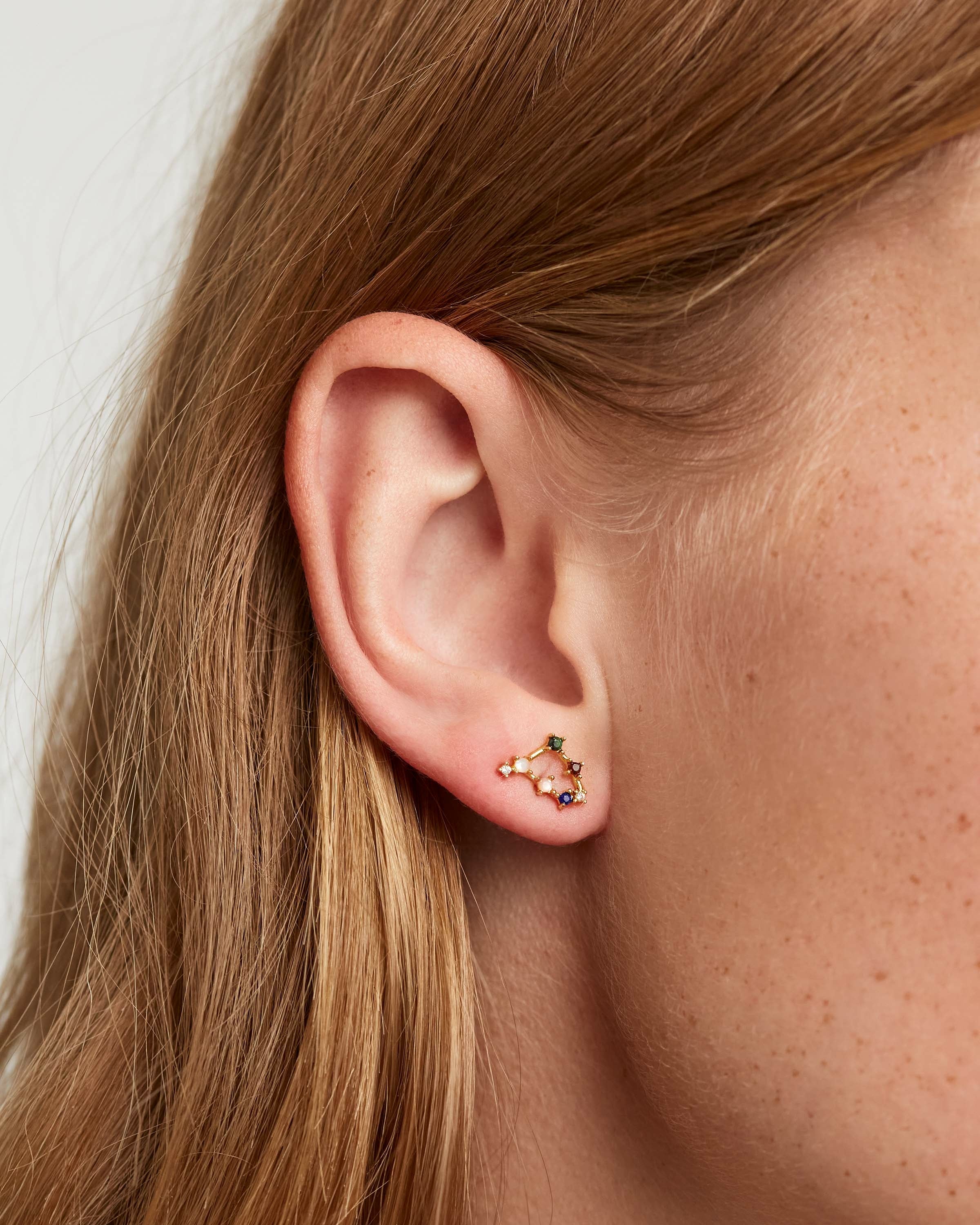 Stylish Capricorn Zodiac Earrings for Women - Perfect for Daily Wear, Gifts & Astrology Lovers