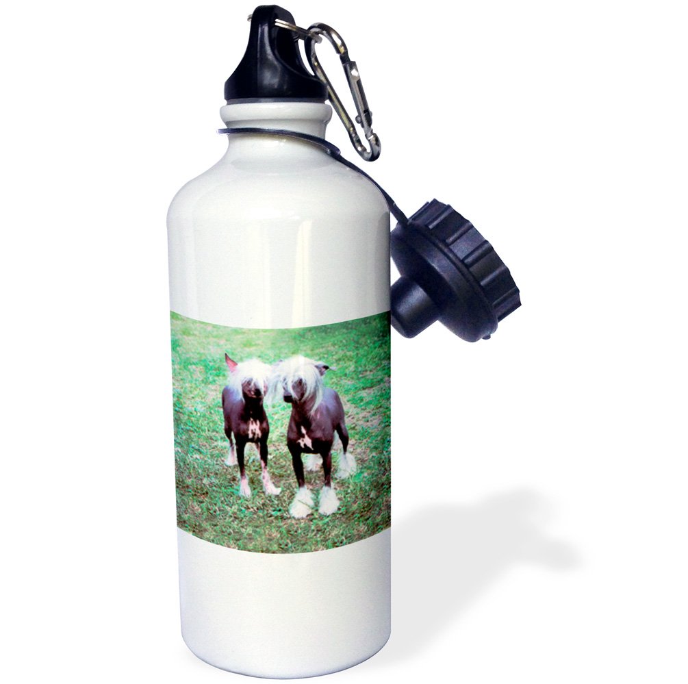 3D Rose Chinese Crested Hairless Dog Sports Water Bottle - 21 oz, White - Perfect for Gym, Hiking & Outdoor Activities
