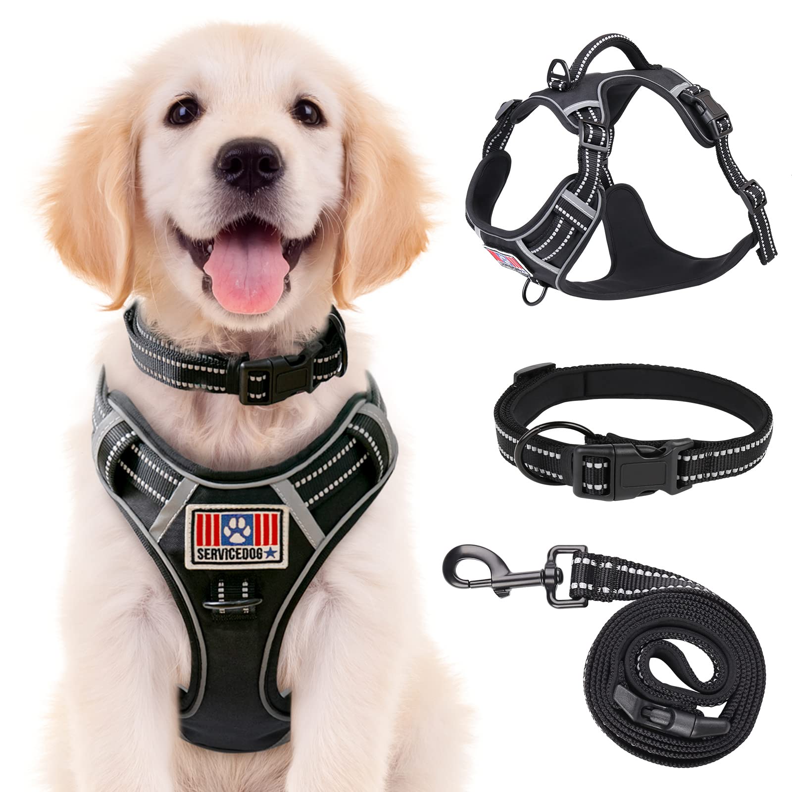 Rywell No-Pull Small Dog Harness with Soft Padded Vest - Adjustable Puppy Harness & Leash Set Includes 2 Leash Clips, 2 Velcro Patches & Control Handle - Reflective Safety Design for Walking, Training & Outdoor Adventures