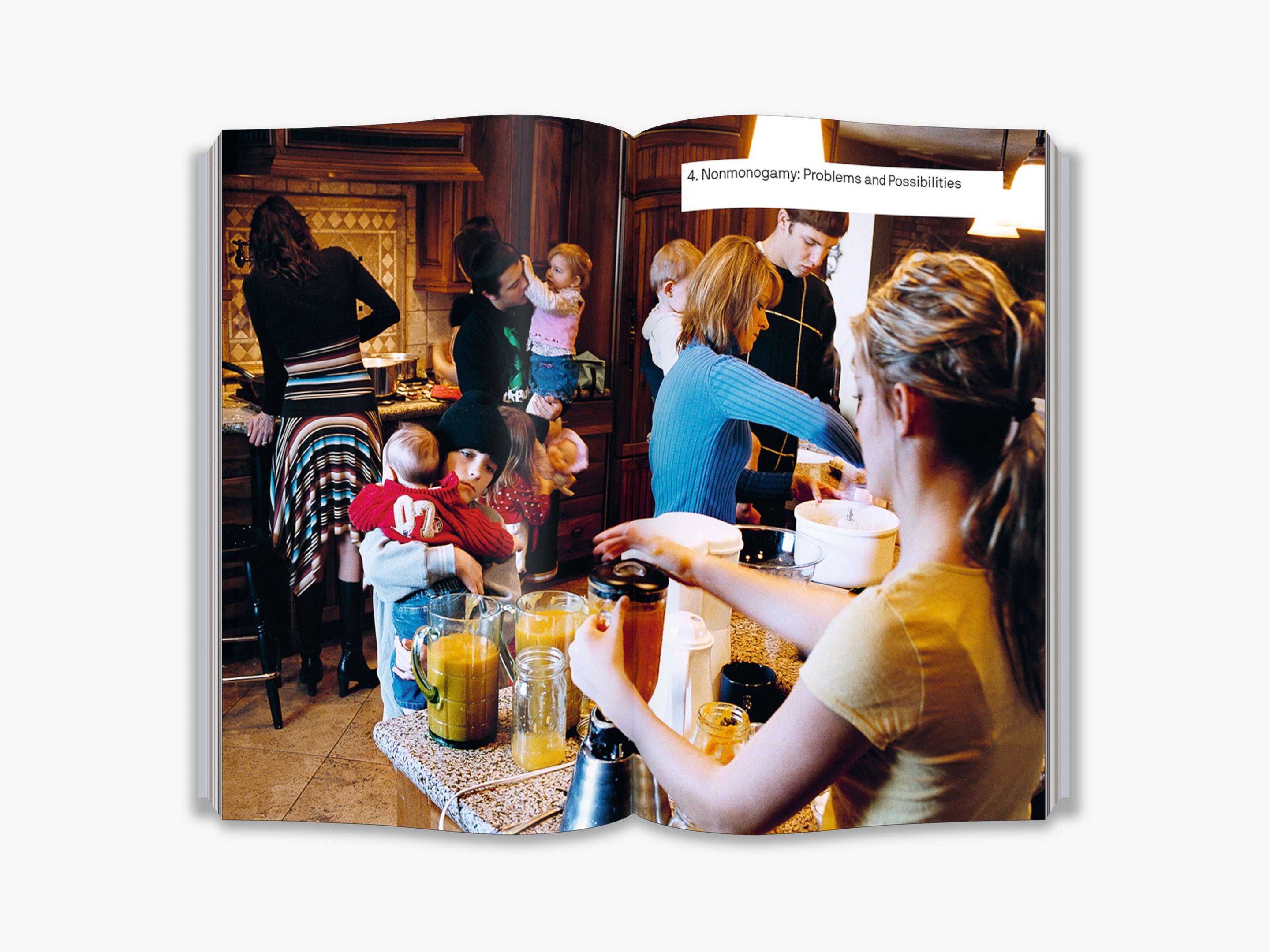 Does Monogamy Work? Exploring Modern Relationships - The Big Idea Book on Love, Commitment & Marriage for Couples and Relationship Counselors
