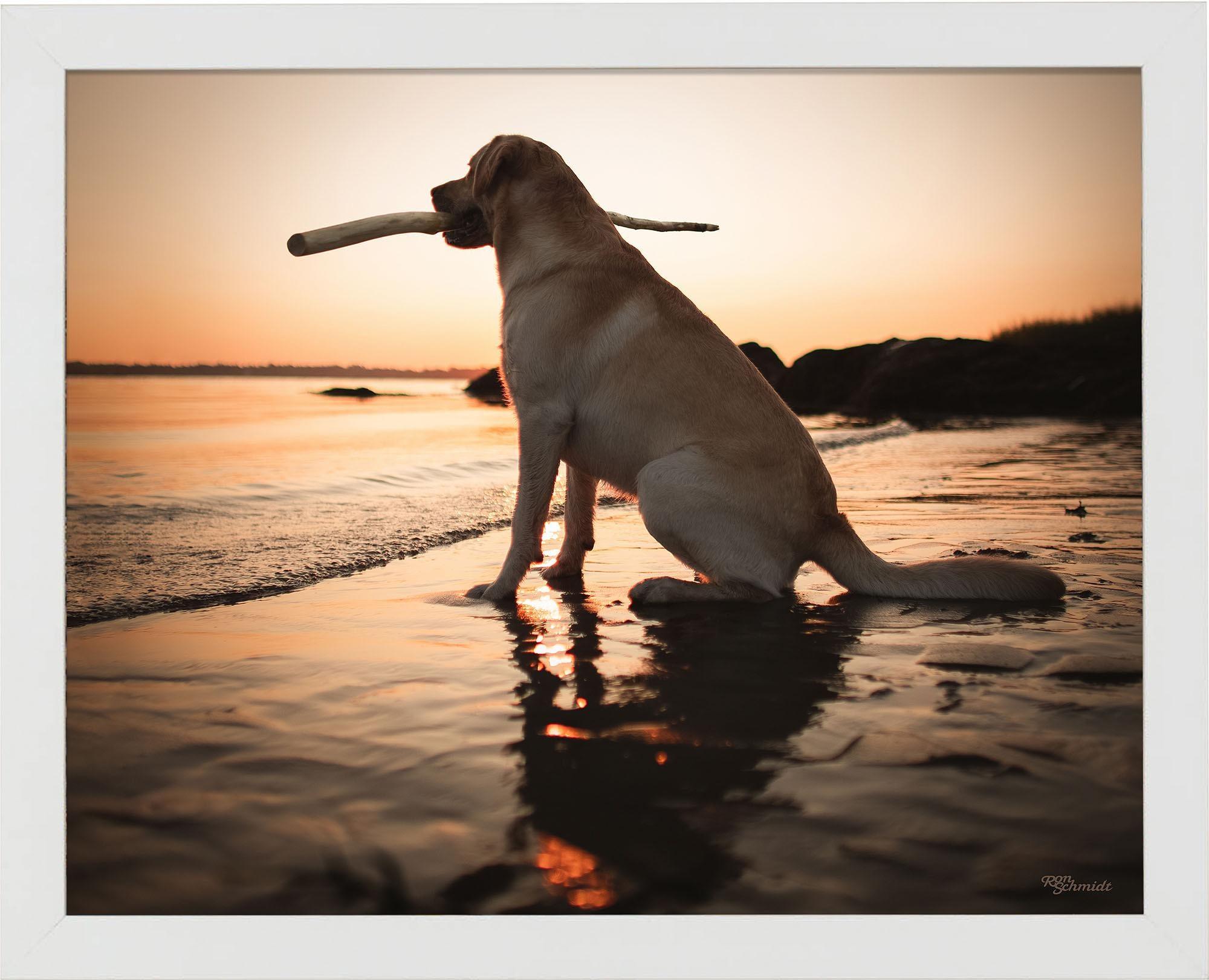 Dusk Art Prints - Stunning Sunset & Twilight Wall Decor for Living Room, Bedroom & Office | High-Quality Canvas & Framed Artwork