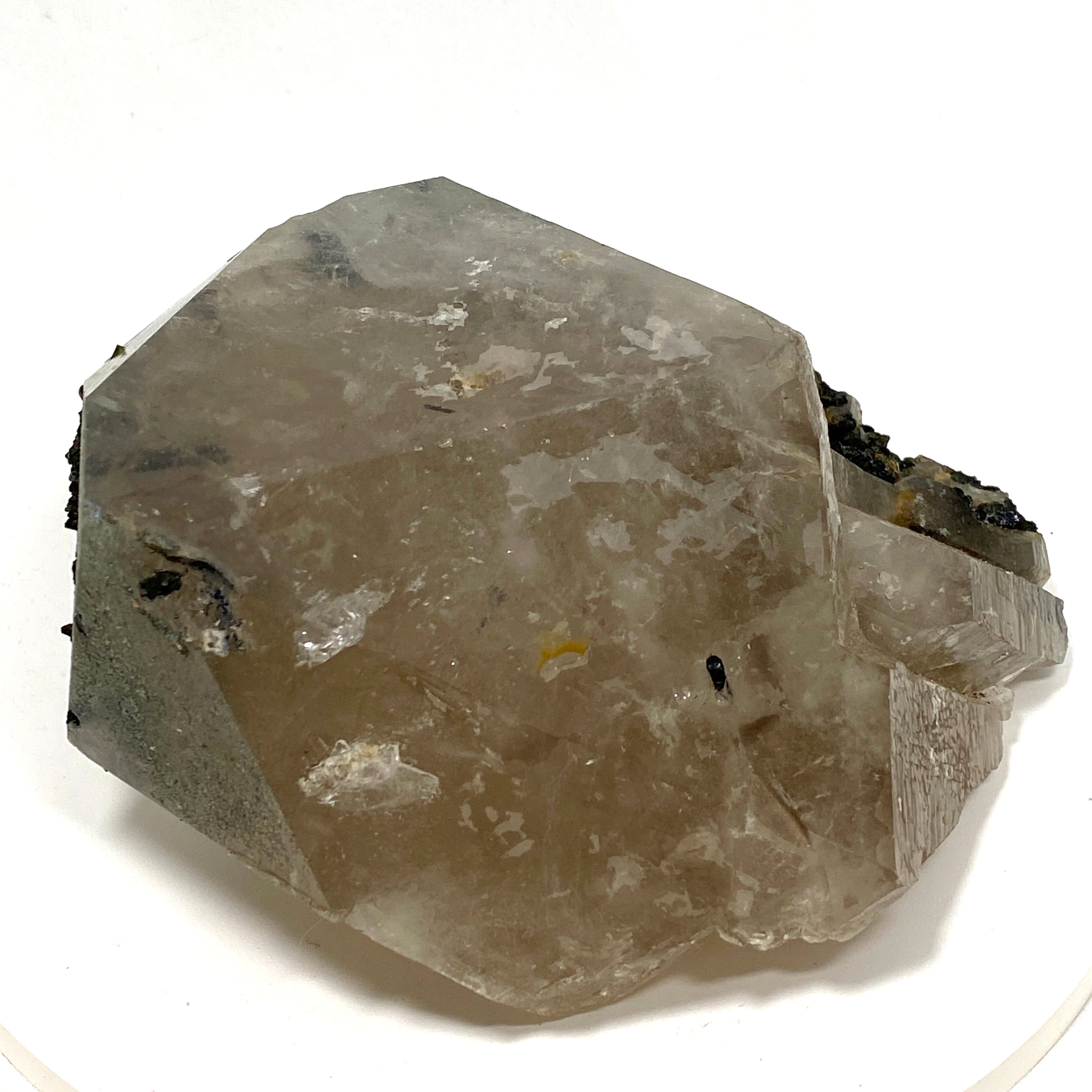 Natural Green Tourmaline in Smokey Quartz Large Healing Crystal - SQGT 01 for Meditation, Energy Work & Home Decor