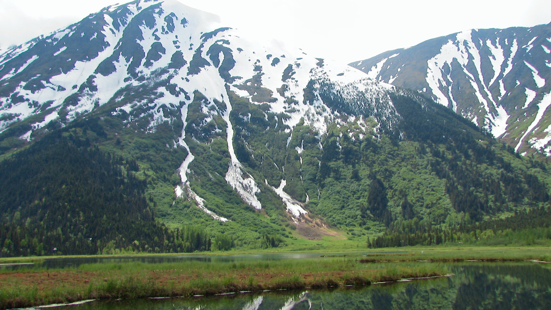 Bow Productions Alaska Adventures of The Kenai - Travel & Fishing Documentary DVD - Perfect for Outdoor Enthusiasts and Nature Lovers