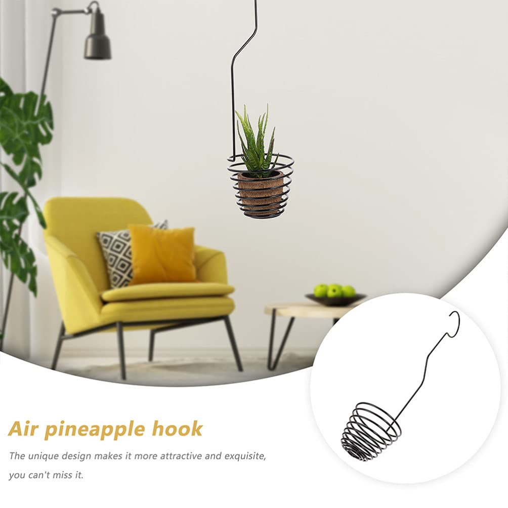 2 Pack Modern Iron Air Plant Hooks - Pineapple Design Hanging Display Rack for Tillandsia Plants, Succulents & Home Decor - Perfect for Living Room, Bedroom, Office & Indoor Garden Decor