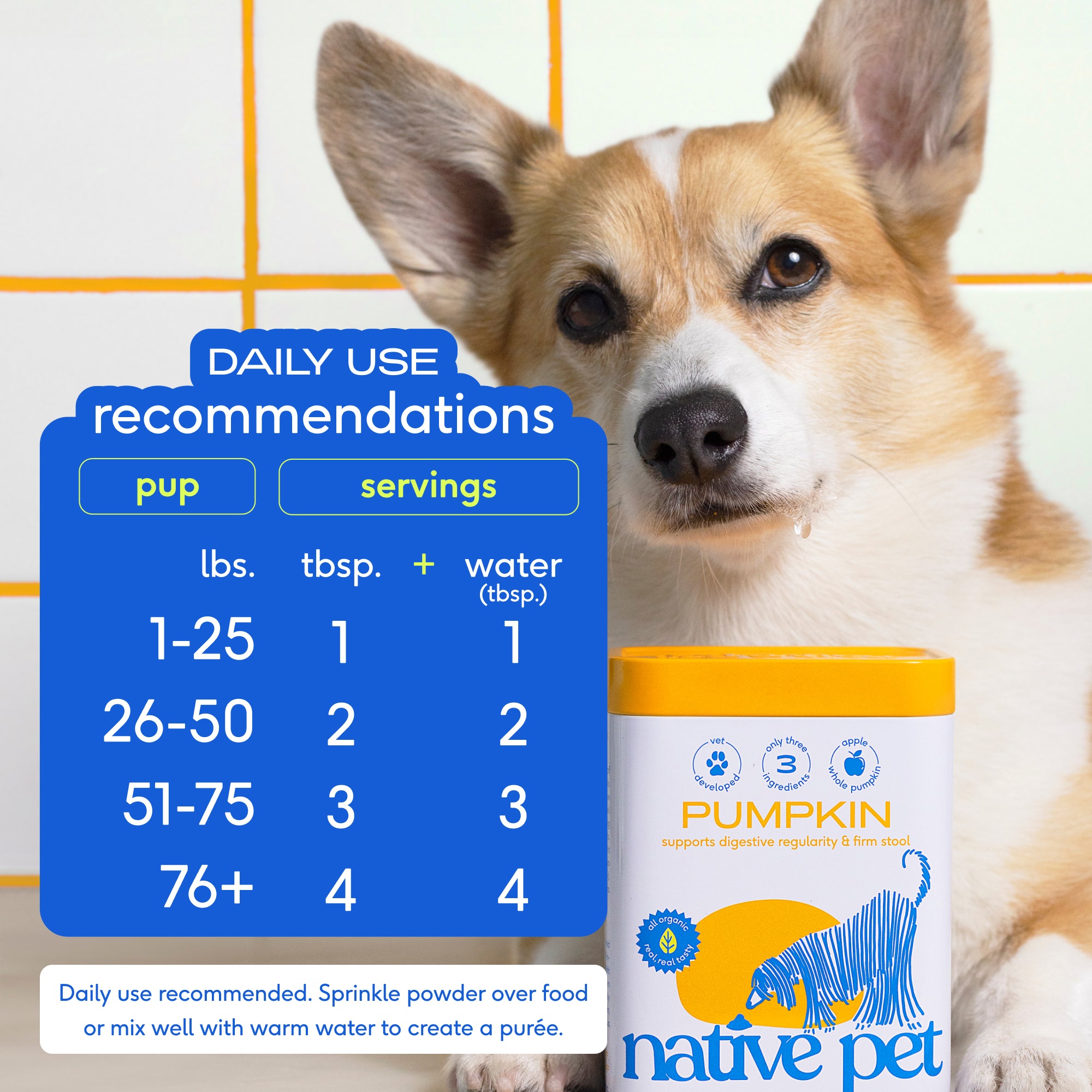 Organic Pumpkin Powder for Dogs & Cats - Digestive Support & Gut Health - Perfect for Mixing in Pet Food or Treats