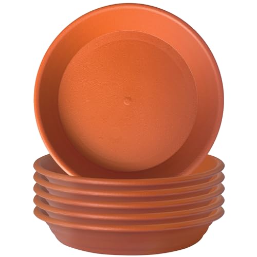 Terra Cotta