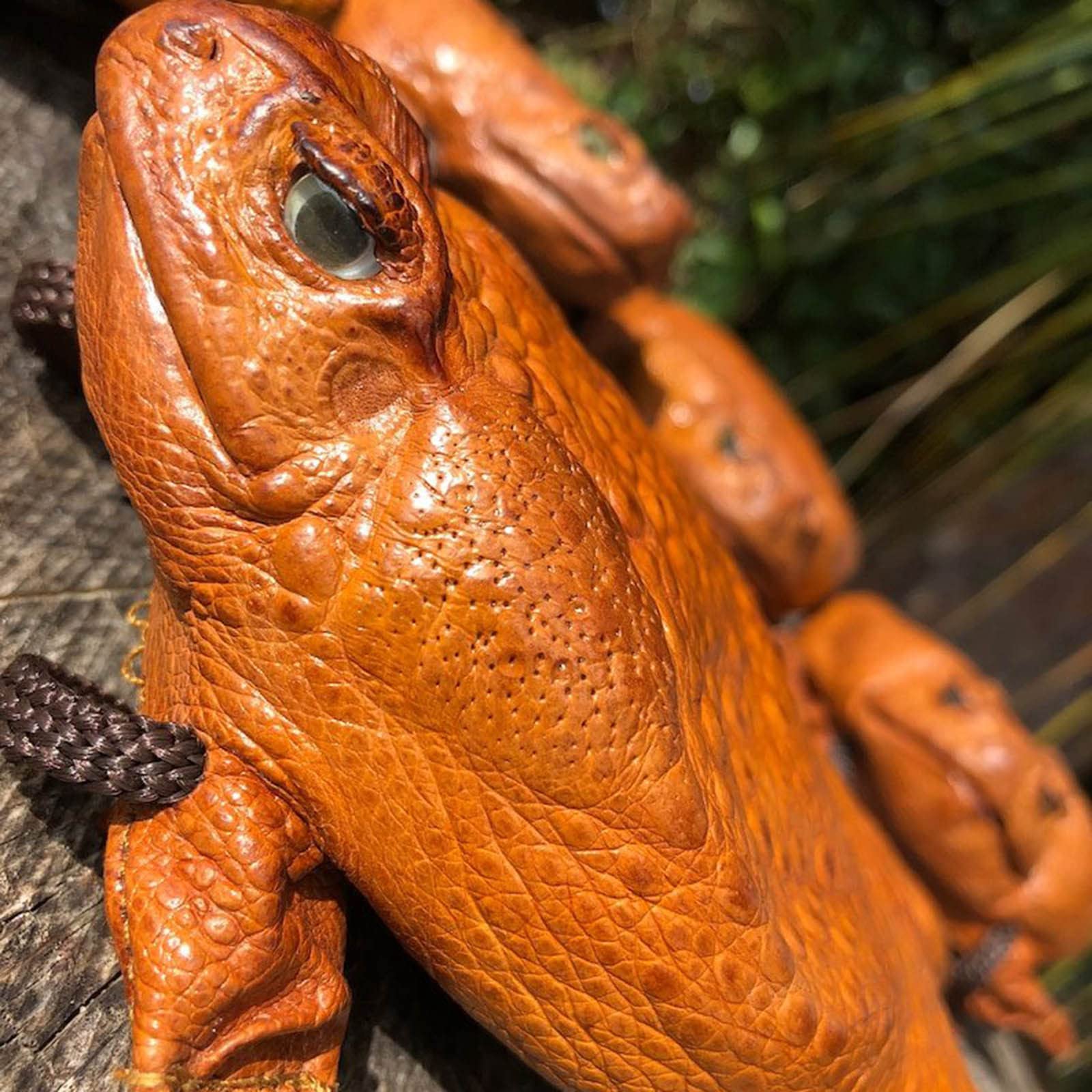 Funny Sugar Cane Toad Full-Body Purse - Frog Coin Wallet & Home Decor - Unique Gift for Animal Lovers - Perfect for Halloween, Cosplay & Novelty Storage (One Size)