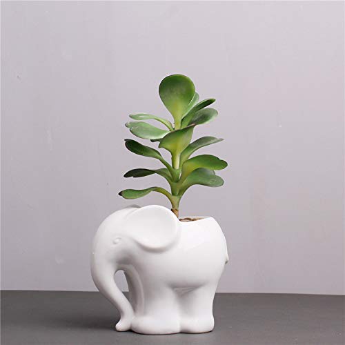 Adorable Elephant Shaped Ceramic Succulent Planter - Cute Animal Flower Pot for Air Plants, Cactus & Small Plants (White) - Perfect for Home Decor, Office Desk & Gift Ideas