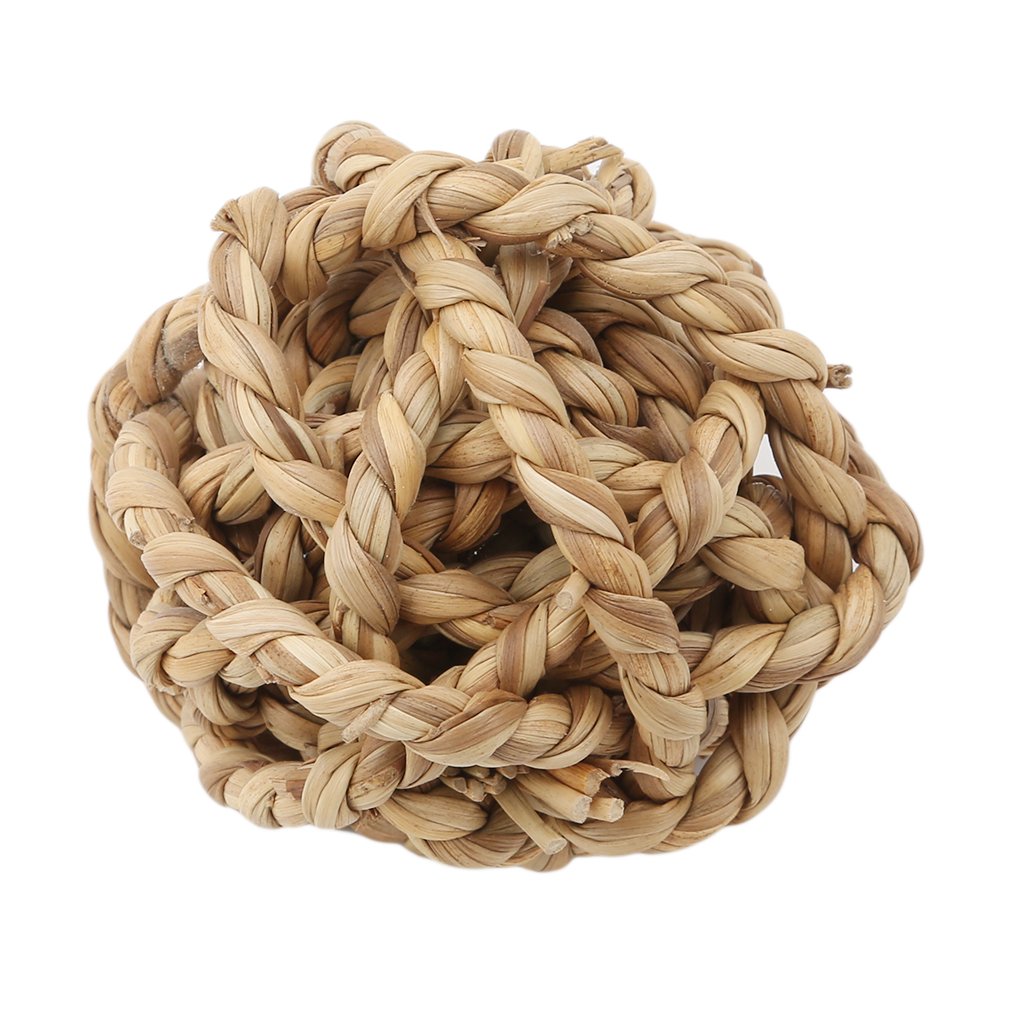 Iumer Grass Play Toy Ball for Dogs & Cats - Natural Dental Chew Toy for Healthy Gums & Teeth - Perfect for Indoor Play & Teething Puppies/Kittens