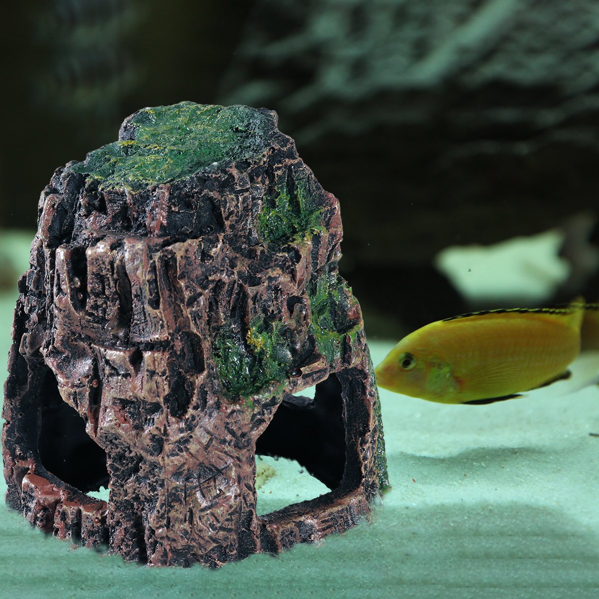 VORCOOL Aquarium Decor - Fish Tank Cave Hideout for Betta, Shrimp & Small Fish - Natural Landscape Ornament for Aquatic Pets (Perfect for Hiding, Breeding & Aquascaping)