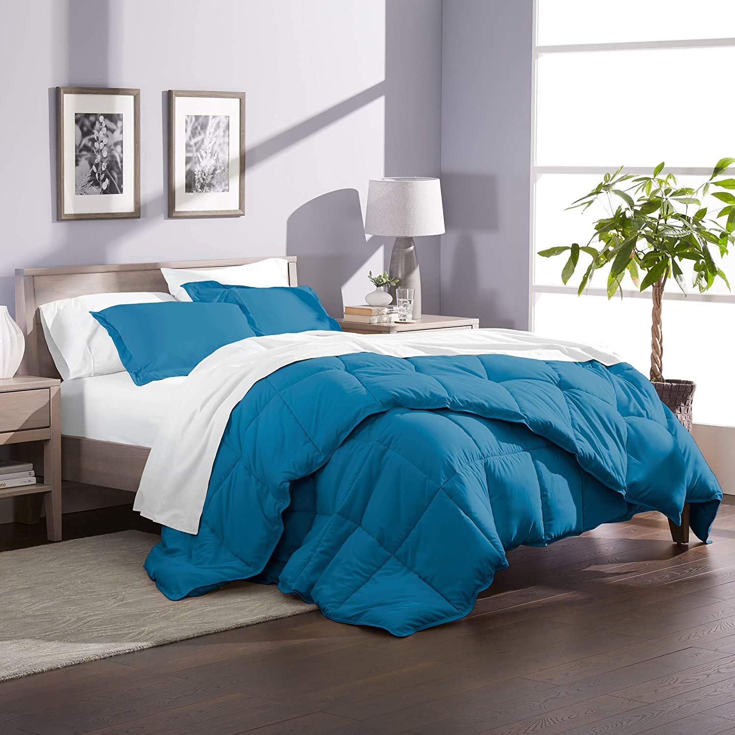 Premium 500 GSM 100% Cotton Extra Long Goose Down Alternative Comforter Set - Ultra Soft, Box Stitched, All-Season Breathable Warmth with Pillow Shams (Oversized Queen, Medium Blue) for Cozy Bedroom & Guest Room Decor